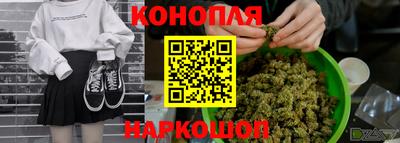 Альфа ПВП Моздок