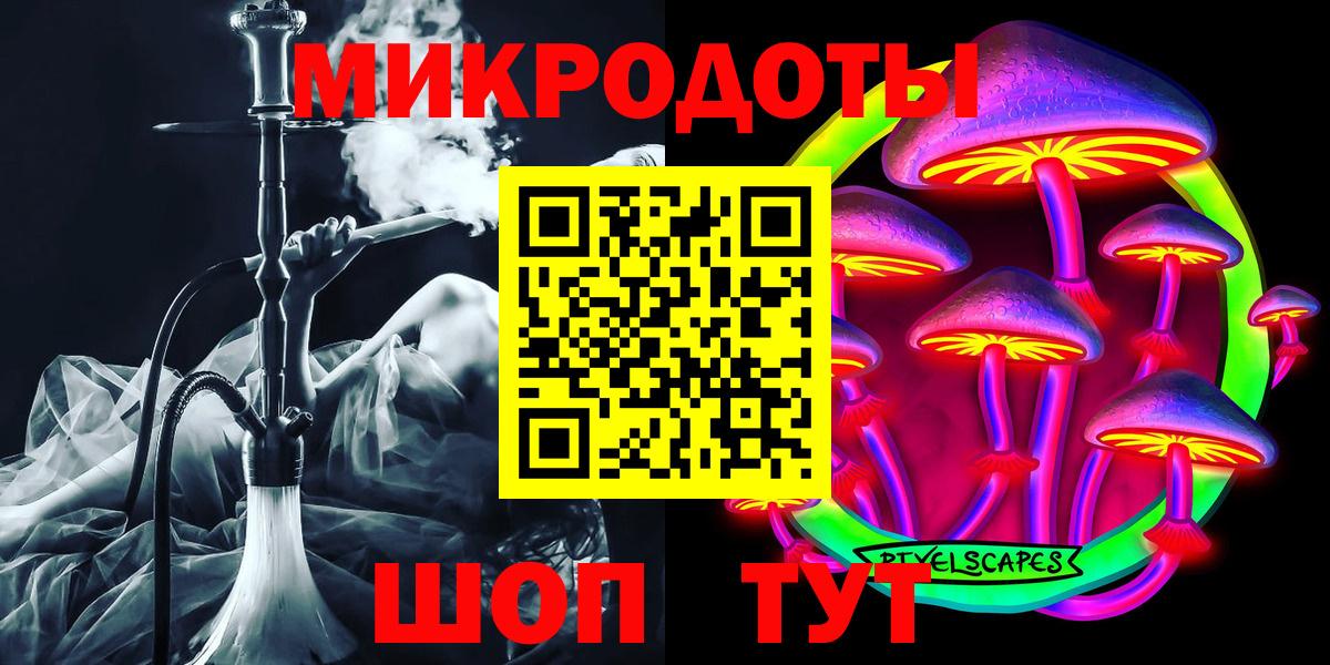Псилоцибиновые грибы Cubensis Фролово