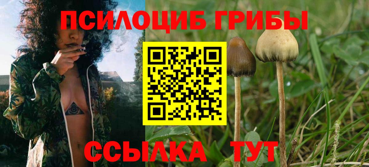 Псилоцибиновые грибы мухоморы  Вход с VPN  Галлюциногенные грибы Magic Shrooms  Фролово 